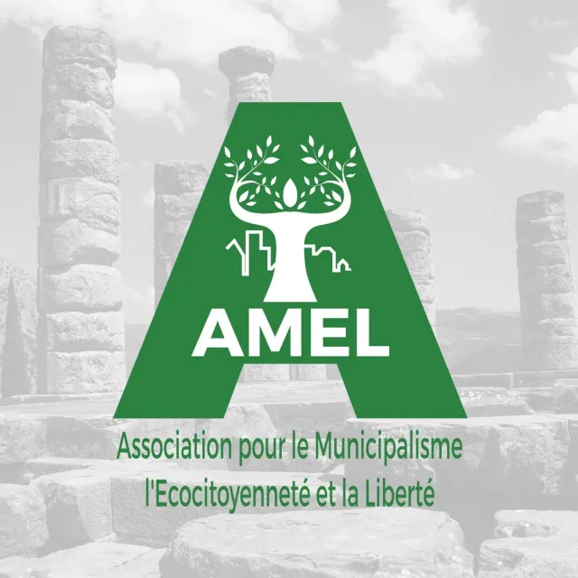 AMEL Association